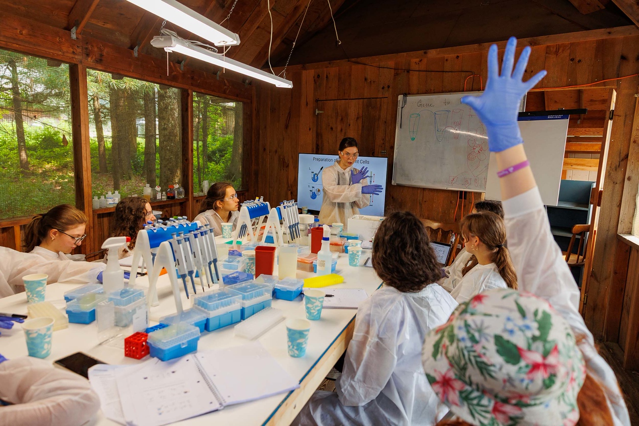 SigmaCamp Activity 3